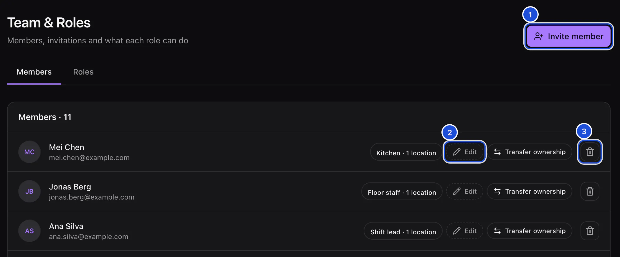 The Team page's Members tab: the Invite member button and the first members with their roles, an Edit button and a remove button on each row.